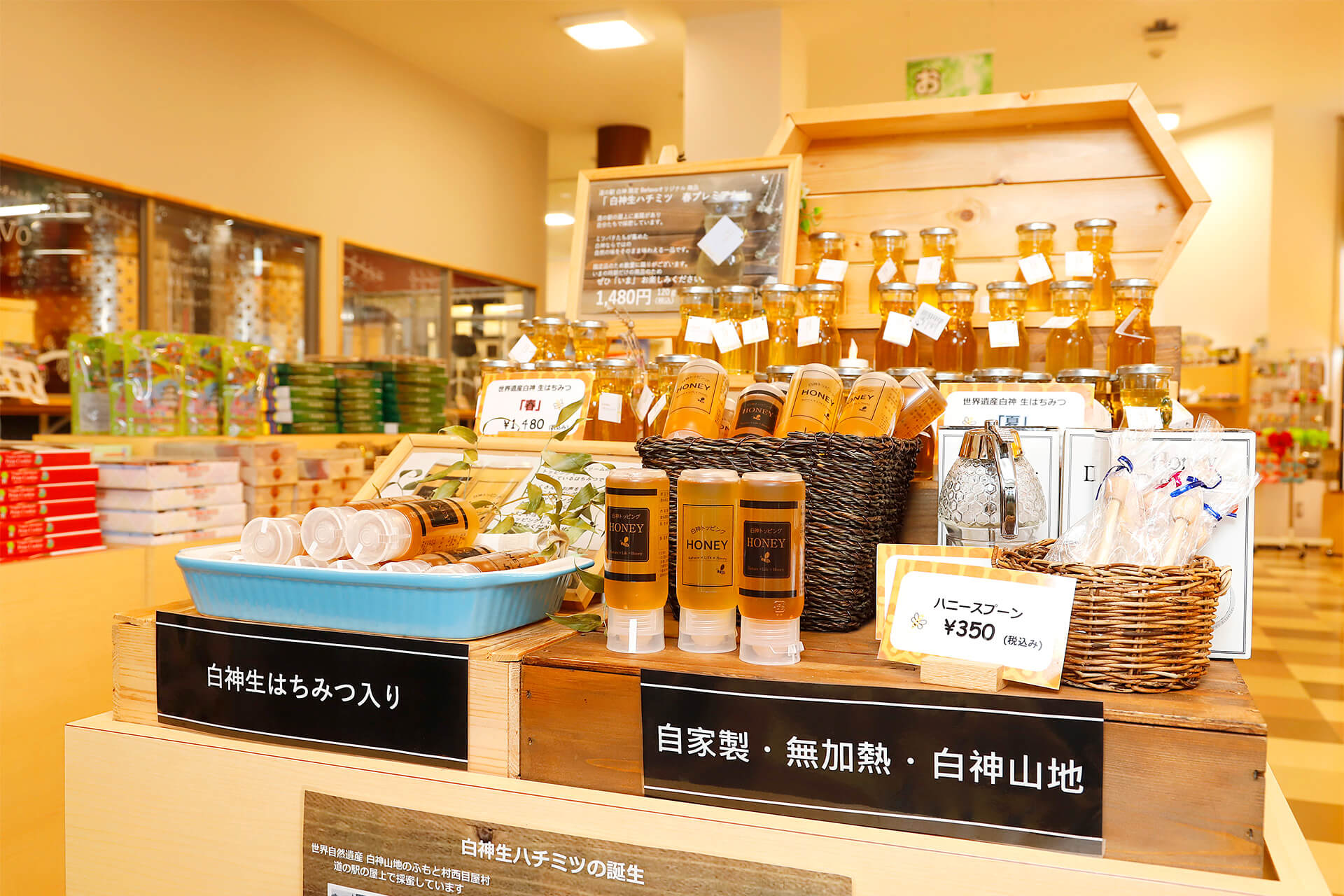館内ガイド